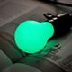 Image for article titled How to Make Your Own Glowing Light Bulbs That Don't Need Electricity
